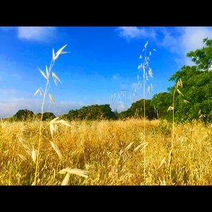 Welcome to my closet!